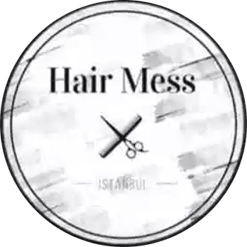 logo Hair mess logo
